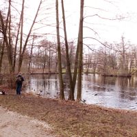 Prater-Anlage, heutiger Zustand, Foto P. Frank.